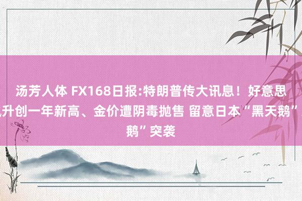 汤芳人体 FX168日报:特朗普传大讯息！好意思元飙升创一年新高、金价遭阴毒抛售 留意日本“黑天鹅”突袭