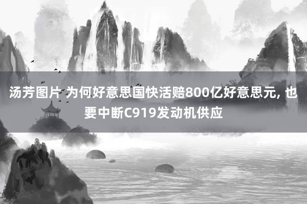 汤芳图片 为何好意思国快活赔800亿好意思元， 也要中断C919发动机供应