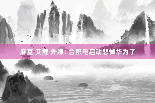 麻豆 艾鲤 外媒: 台积电启动悲悼华为了