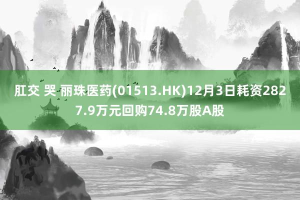 肛交 哭 丽珠医药(01513.HK)12月3日耗资2827.9万元回购74.8万股A股