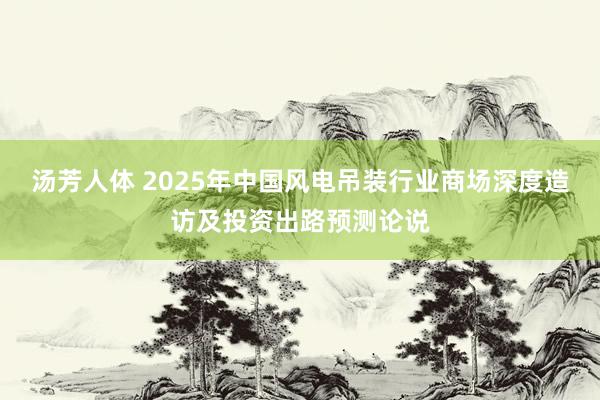 汤芳人体 2025年中国风电吊装行业商场深度造访及投资出路预测论说