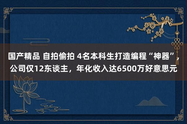 国产精品 自拍偷拍 4名本科生打造编程“神器”，公司仅12东谈主，年化收入达6500万好意思元
