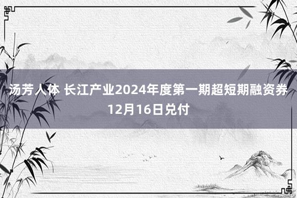 汤芳人体 长江产业2024年度第一期超短期融资券12月16日兑付