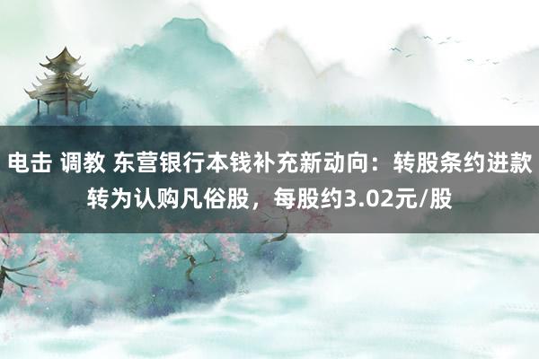 电击 调教 东营银行本钱补充新动向：转股条约进款转为认购凡俗股，每股约3.02元/股