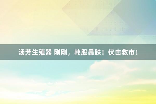 汤芳生殖器 刚刚，韩股暴跌！伏击救市！