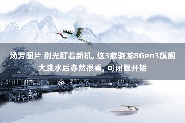 汤芳图片 别光盯着新机， 这3款骁龙8Gen3旗舰大跳水后亦然很香， 可闭眼开始