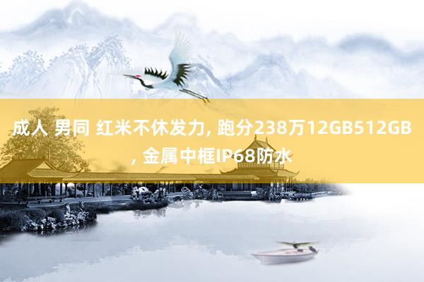 成人 男同 红米不休发力， 跑分238万12GB512GB， 金属中框IP68防水