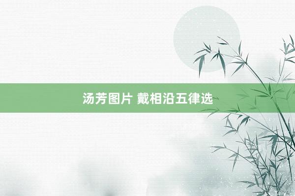 汤芳图片 戴相沿五律选