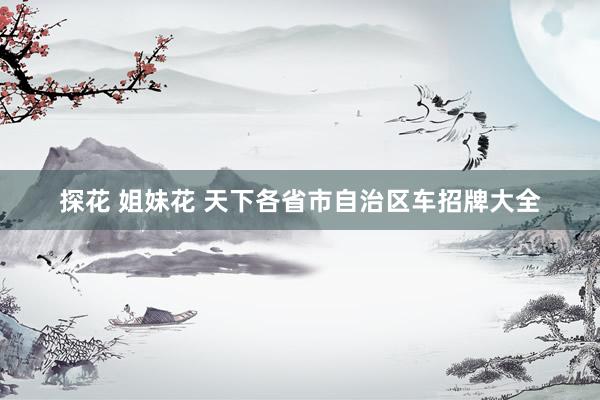 探花 姐妹花 天下各省市自治区车招牌大全