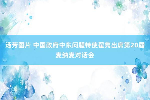 汤芳图片 中国政府中东问题特使翟隽出席第20届麦纳麦对话会