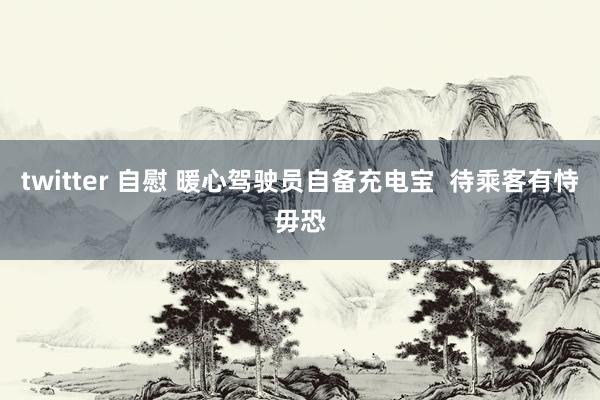 twitter 自慰 暖心驾驶员自备充电宝  待乘客有恃毋恐