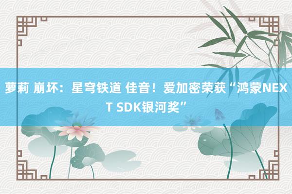 萝莉 崩坏：星穹铁道 佳音！爱加密荣获“鸿蒙NEXT SDK银河奖”