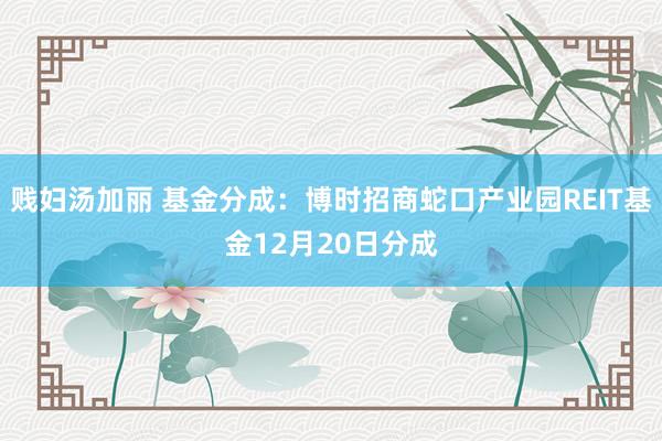 贱妇汤加丽 基金分成：博时招商蛇口产业园REIT基金12月20日分成