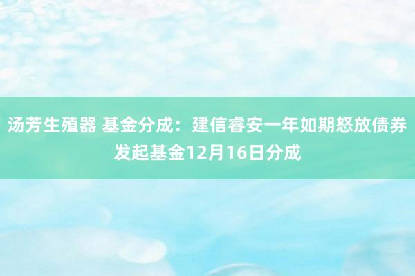 汤芳生殖器 基金分成：建信睿安一年如期怒放债券发起基金12月16日分成