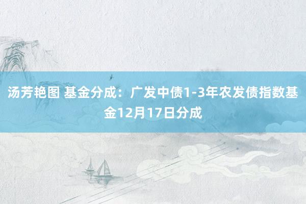 汤芳艳图 基金分成：广发中债1-3年农发债指数基金12月17日分成
