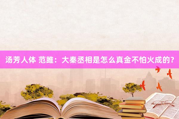 汤芳人体 范雎：大秦丞相是怎么真金不怕火成的？