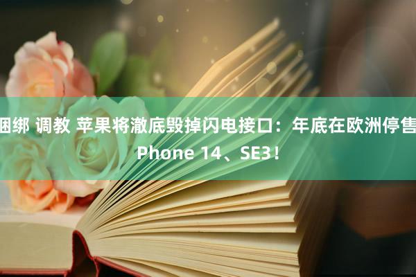 捆绑 调教 苹果将澈底毁掉闪电接口：年底在欧洲停售iPhone 14、SE3！