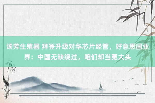 汤芳生殖器 拜登升级对华芯片经管，好意思国业界：中国无缺绕过，咱们却当冤大头
