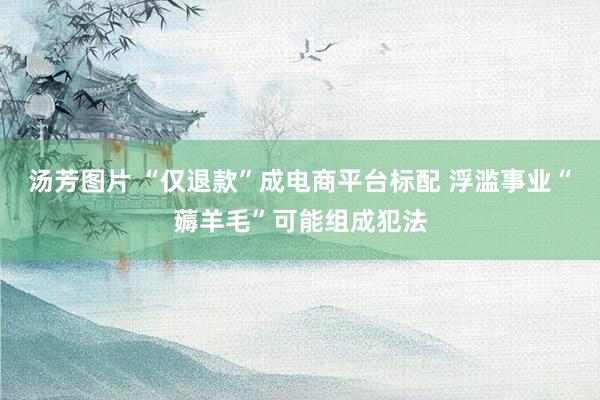 汤芳图片 “仅退款”成电商平台标配 浮滥事业“薅羊毛”可能组成犯法