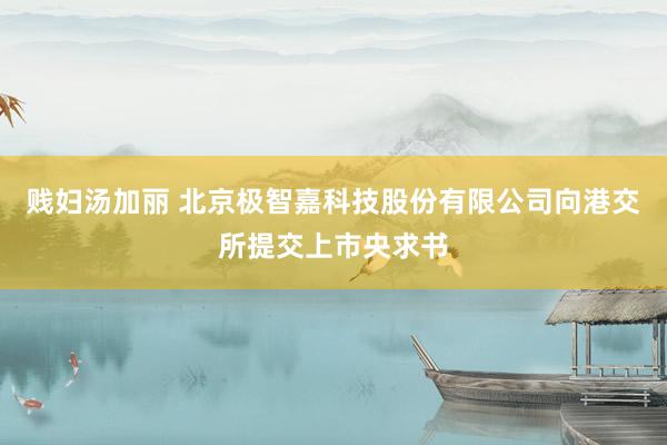 贱妇汤加丽 北京极智嘉科技股份有限公司向港交所提交上市央求书