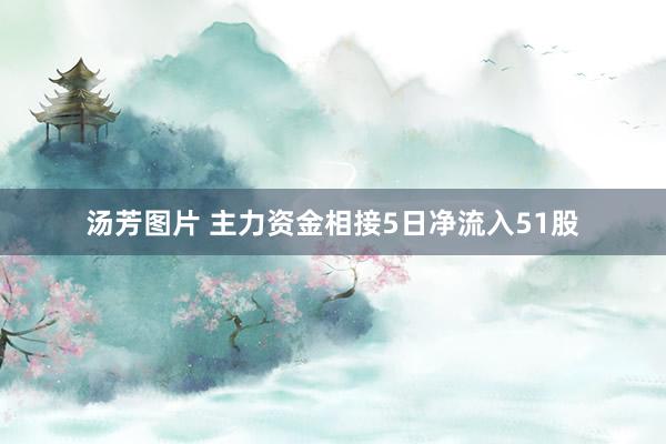 汤芳图片 主力资金相接5日净流入51股