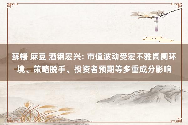 蘇暢 麻豆 酒钢宏兴: 市值波动受宏不雅阛阓环境、策略脱手、投资者预期等多重成分影响