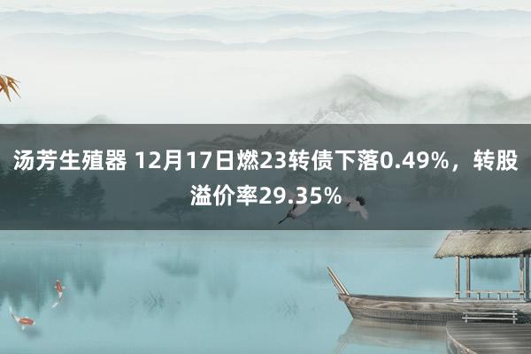 汤芳生殖器 12月17日燃23转债下落0.49%，转股溢价率29.35%