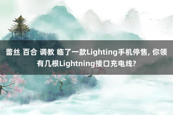 蕾丝 百合 调教 临了一款Lighting手机停售， 你领有几根Lightning接口充电线?
