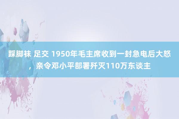 踩脚袜 足交 1950年毛主席收到一封急电后大怒，亲令邓小平部署歼灭110万东谈主