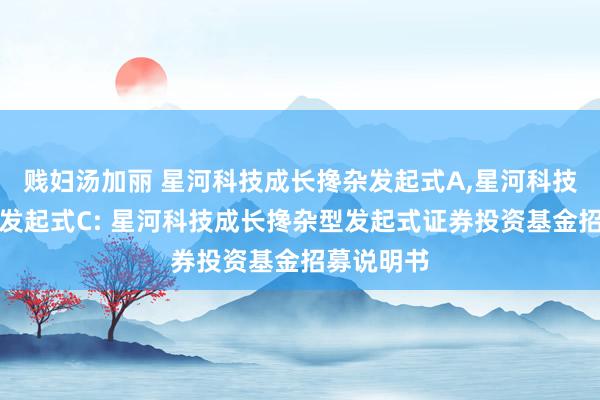贱妇汤加丽 星河科技成长搀杂发起式A，星河科技成长搀杂发起式C: 星河科技成长搀杂型发起式证券投资基金招募说明书