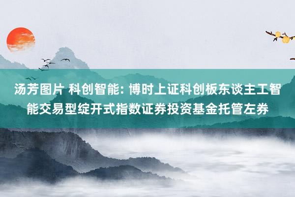 汤芳图片 科创智能: 博时上证科创板东谈主工智能交易型绽开式指数证券投资基金托管左券