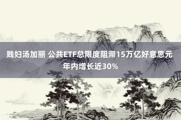 贱妇汤加丽 公共ETF总限度阻滞15万亿好意思元 年内增长近30%
