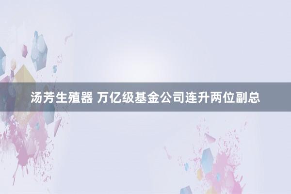 汤芳生殖器 万亿级基金公司连升两位副总