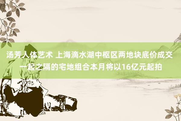 汤芳人体艺术 上海滴水湖中枢区两地块底价成交 一起之隔的宅地组合本月将以16亿元起拍