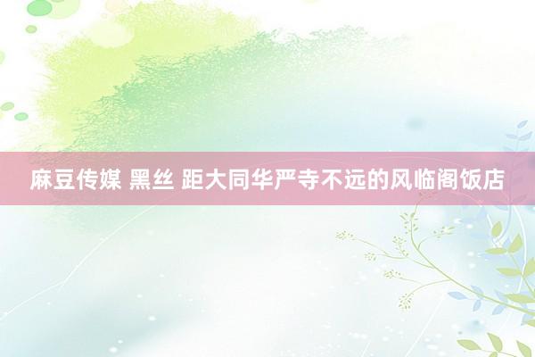 麻豆传媒 黑丝 距大同华严寺不远的风临阁饭店