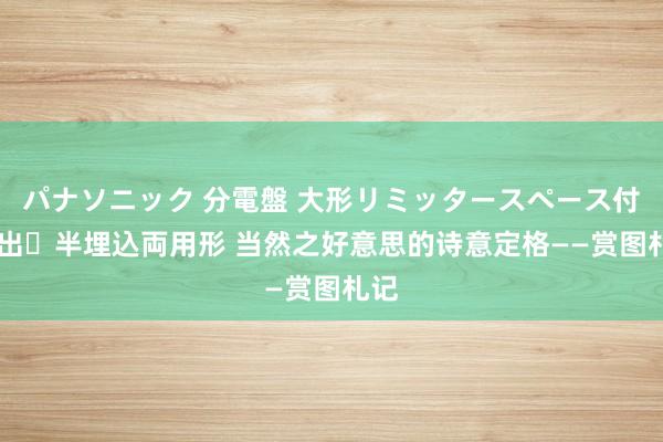 パナソニック 分電盤 大形リミッタースペース付 露出・半埋込両用形 当然之好意思的诗意定格——赏图札记