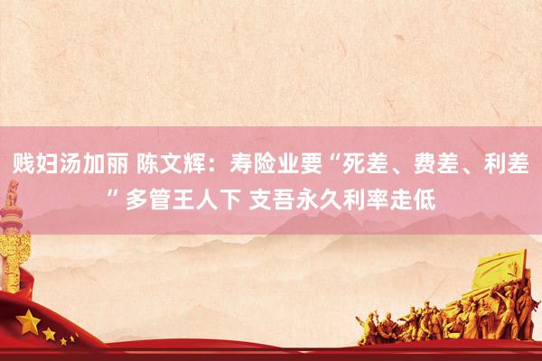 贱妇汤加丽 陈文辉：寿险业要“死差、费差、利差”多管王人下 支吾永久利率走低