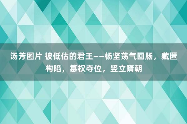 汤芳图片 被低估的君王——杨坚荡气回肠，藏匿构陷，篡权夺位，竖立隋朝