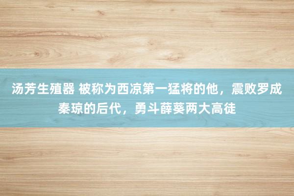 汤芳生殖器 被称为西凉第一猛将的他，震败罗成秦琼的后代，勇斗薛葵两大高徒