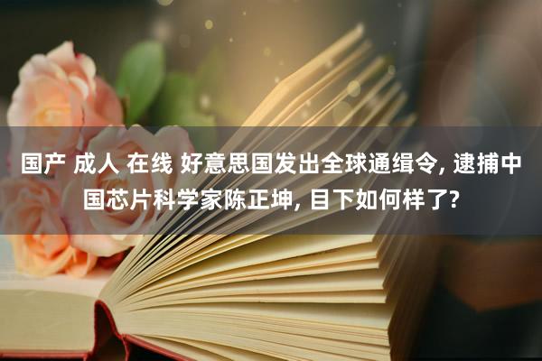 国产 成人 在线 好意思国发出全球通缉令， 逮捕中国芯片科学家陈正坤， 目下如何样了?