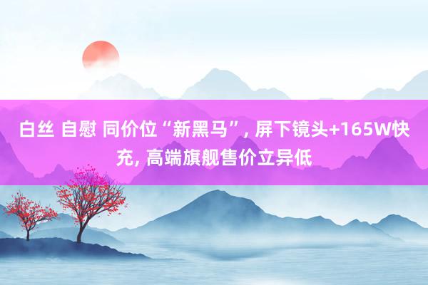 白丝 自慰 同价位“新黑马”， 屏下镜头+165W快充， 高端旗舰售价立异低