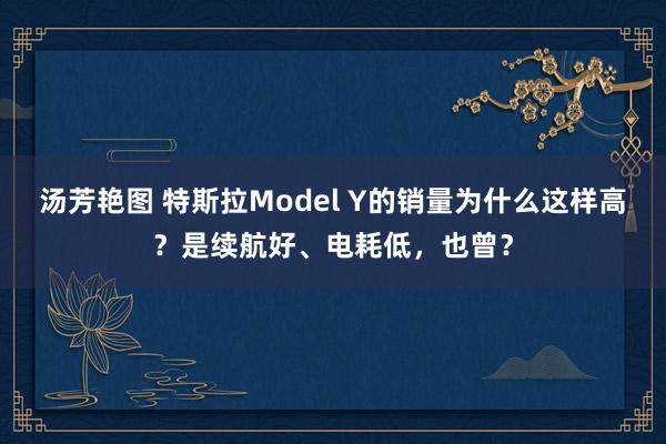 汤芳艳图 特斯拉Model Y的销量为什么这样高？是续航好、电耗低，也曾？