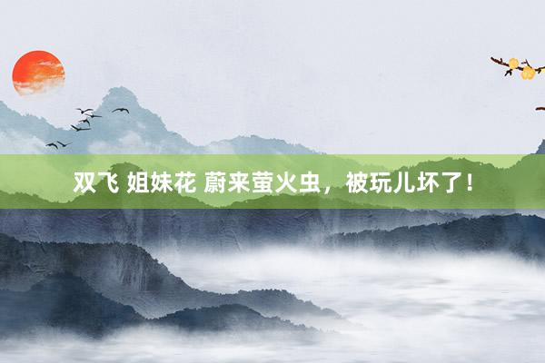 双飞 姐妹花 蔚来萤火虫，被玩儿坏了！