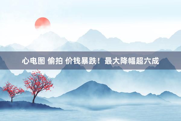 心电图 偷拍 价钱暴跌！最大降幅超六成