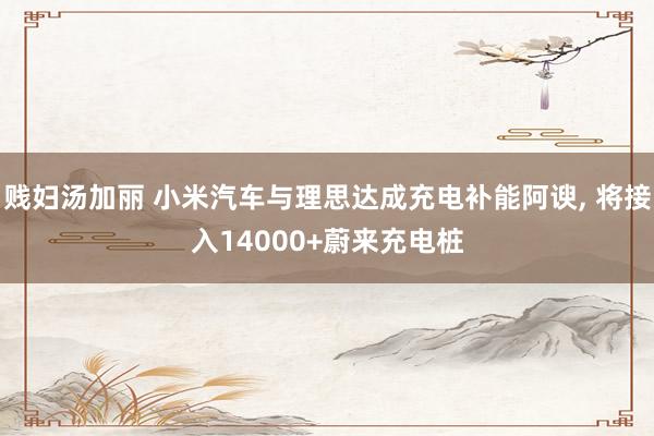 贱妇汤加丽 小米汽车与理思达成充电补能阿谀， 将接入14000+蔚来充电桩