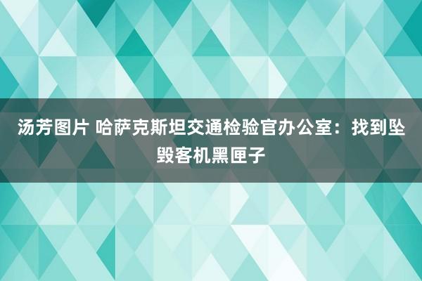 汤芳图片 哈萨克斯坦交通检验官办公室：找到坠毁客机黑匣子