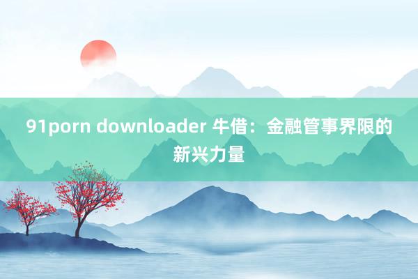 91porn downloader 牛借：金融管事界限的新兴力量