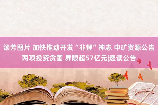 汤芳图片 加快推动开发“非锂”神志 中矿资源公告两项投资贪图 界限超57亿元|速读公告