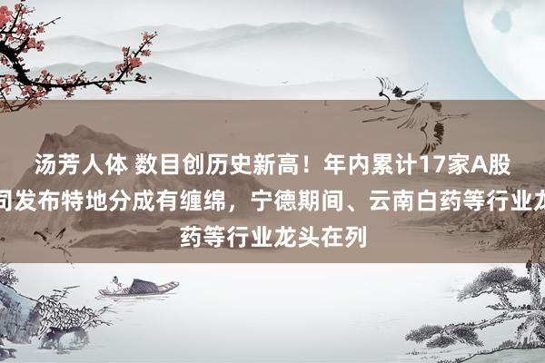 汤芳人体 数目创历史新高！年内累计17家A股上市公司发布特地分成有缠绵，宁德期间、云南白药等行业龙头在列