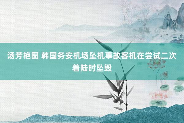 汤芳艳图 韩国务安机场坠机事故客机在尝试二次着陆时坠毁